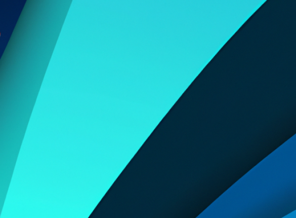 Ce Que Les Habitants Savent De Wolf Creek Et South Fork